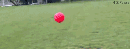 Barrell-roll GIFs - Find & Share on GIPHY