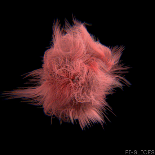 GIF trippy abstract pi slices animated GIF on GIFER