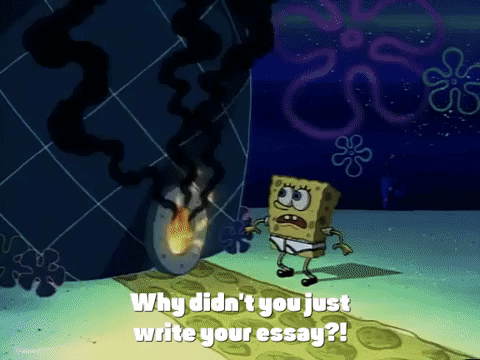 why didn/t you just write your essay