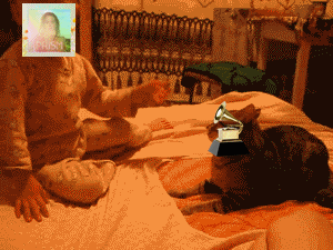spacer.png