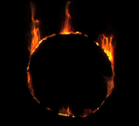 Https Encrypted Tbn0 Gstatic Com Images Q Tbn 3aand9gcstqevcyrsasxonulqgpw69xhxe72gjle1fsq Usqp Cau