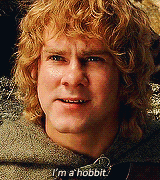 The lord of the rings merry GIF - Find on GIFER
