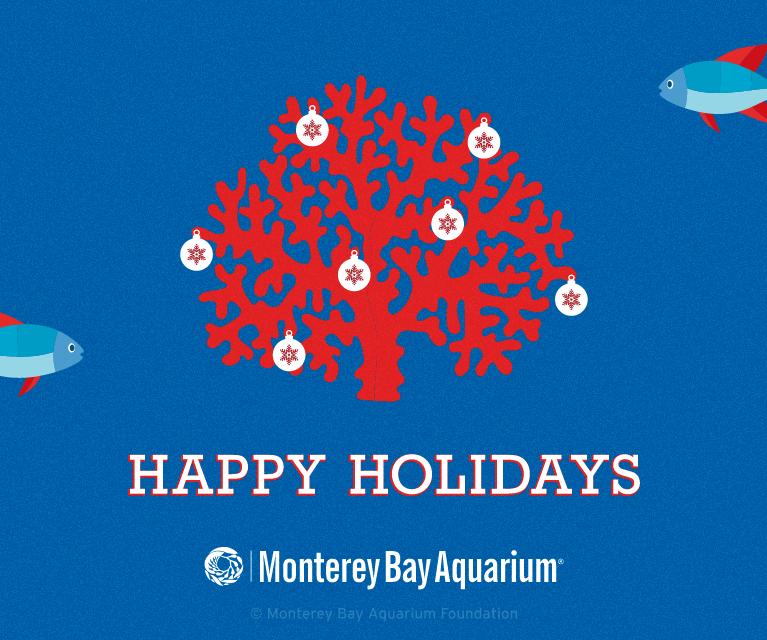 Christmas holidays GIF Find on GIFER