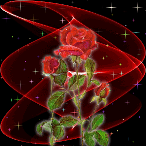 Rose GIF - Find on GIFER