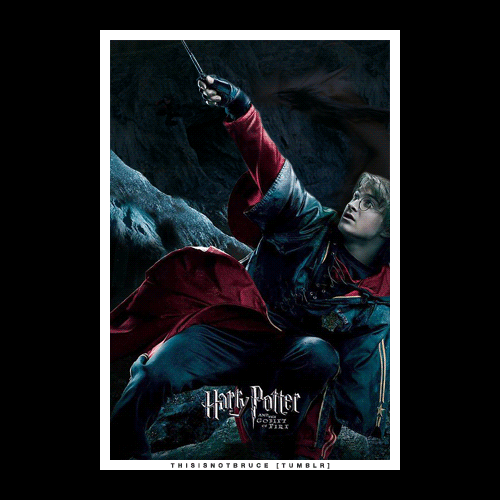 Harry potter GIF Find on GIFER