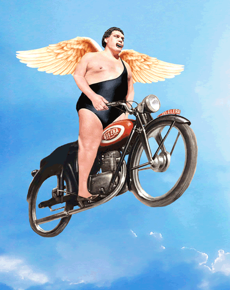 Angel biker andre the giant GIF - Find on GIFER