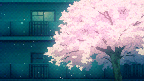 Details more than 133 anime cherry blossom gif best - ceg.edu.vn