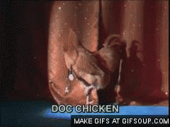 SFnT.gif