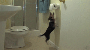 Perfect loop GIF - Find on GIFER