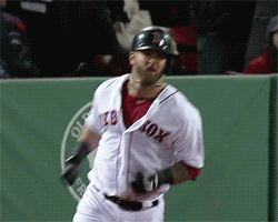 Boston red sox GIF - Find on GIFER
