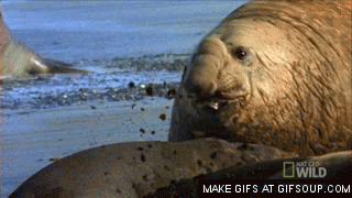 Https Encrypted Tbn0 Gstatic Com Images Q Tbn 3aand9gctqba38ikyhht Xzpvmnw Fdjldvdohjdzdew Usqp Cau