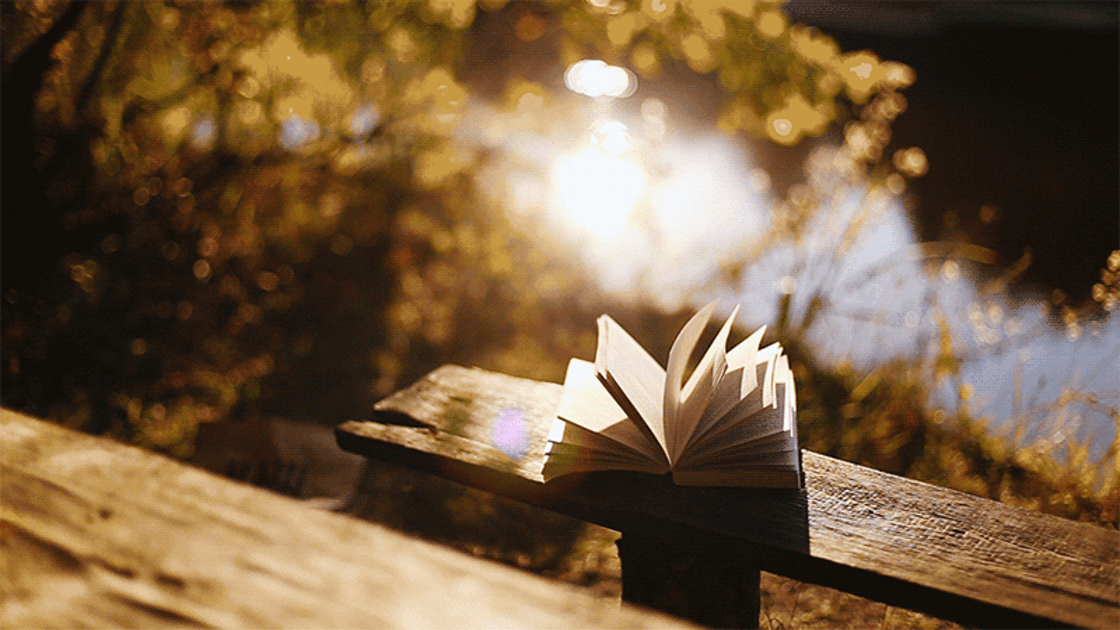 Анимацию картинки книг