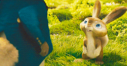 Bunnies bunny movie GIF - Find on GIFER