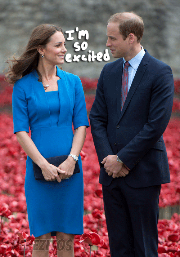 Kate middleton prince william prince george GIF - Find on GIFER