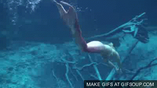 On this animated GIF: mermaid, Dimensions: 320x180 px. 