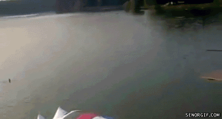 Epic GIF - Find on GIFER