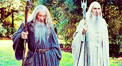 The lord of the rings fellowship of the ring GIF - Find on GIFER