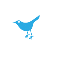 Twitter animations. Новое лого твиттера. Twitter gif. Твиттер gif PNG. Pinkshanen animation Твиттер.