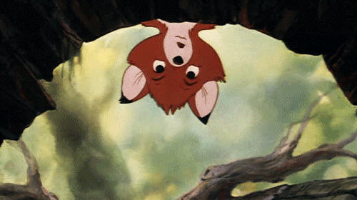 Sjm2.gif