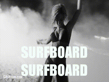 surfboard beyonce gif