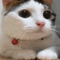 SmBR.gif