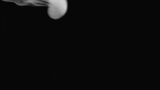 Smoke gif. Анимация дым от сигареты. Кольца дыма гиф. Сигаретный дым анимация. Сигаретный дым гиф.