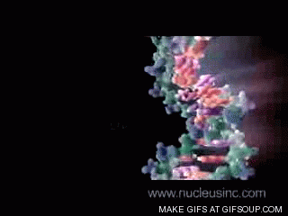 Dna Exploding Gif Dna GIF - Find on GIFER