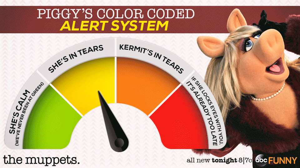 The muppets abc brad thorn miss piggy GIF Find on GIFER