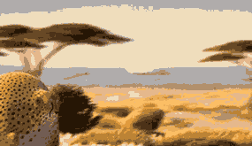 Evolution went differantly GIF - Find on GIFER
