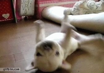 Help someone GIF - Find on GIFER Help someone GIF - Find on GIFER