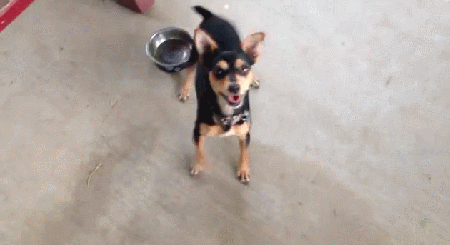Bebe Bon Correct Gif Find On Gifer Bebe Bon Correct Gif Find On Gifer