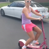 Stgl.gif