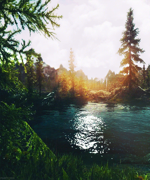 GIF nature water landscape - animated GIF on GIFER