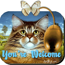 Youre welcome GIF - Find on GIFER