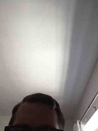 They are almost my last one GIF - Find on GIFER