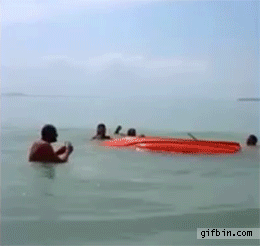 Boot boat GIF - Find on GIFER