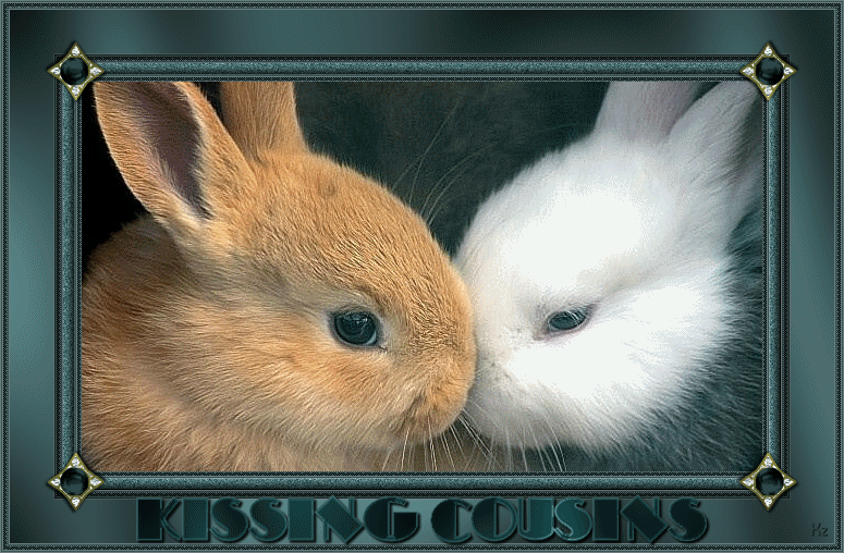 Зайка целует. Кролики любовь. Два кролика. Влюбленные кролики. Кролики целуются.