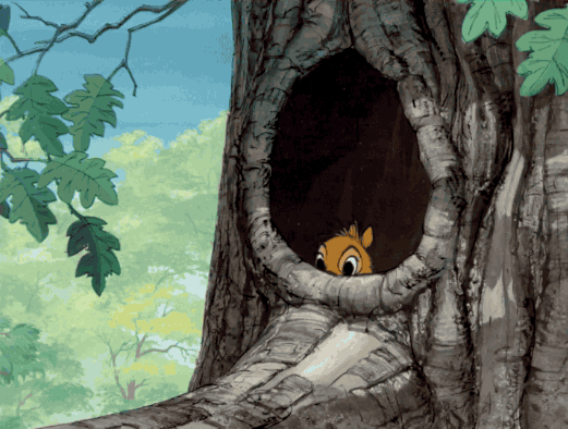 squirrel painting gif