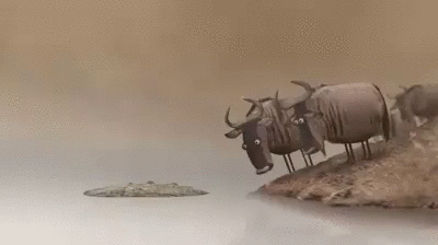 Tree trunk GIF - Find on GIFER