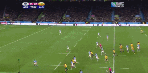 Gif Asm Rugby Rugby world cup GIF - Find on GIFER