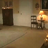 TOB1.gif
