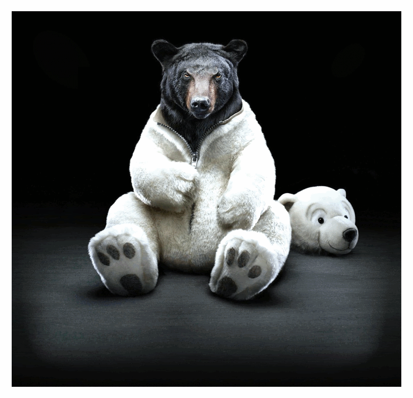 Teddy bear GIF - Find on GIFER