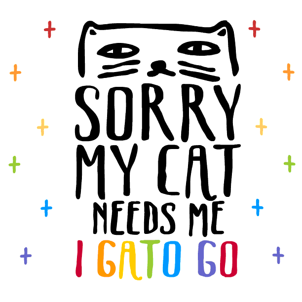 I need cat. Meow gif