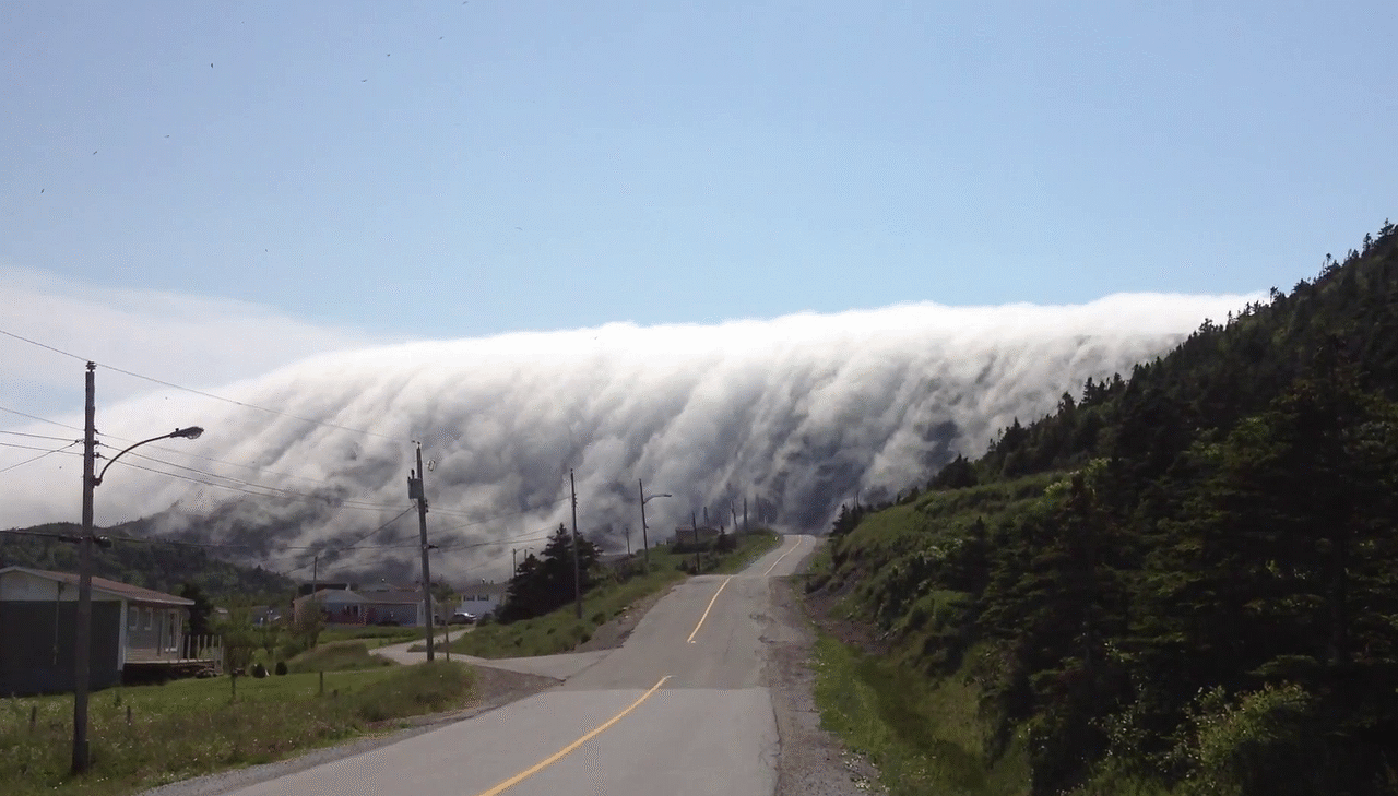 Peace cinemagraphs fog GIF Find on GIFER