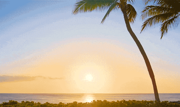 Hawaii sunset aulani GIF - Find on GIFER