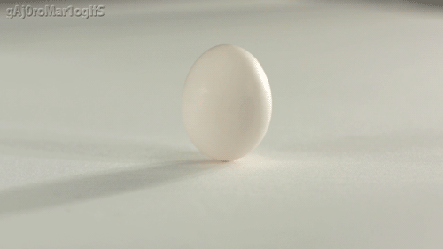 GIF food egg - animated GIF on GIFER