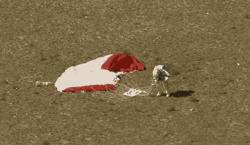 ThkD.gif