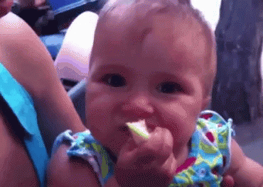 Baby Citron Gif Find On Gifer