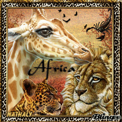 Africa Animals Picture Gif Find On Gifer