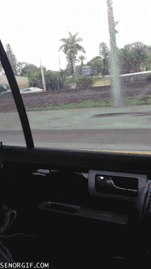Motorcycle florida weird GIF Find on GIFER